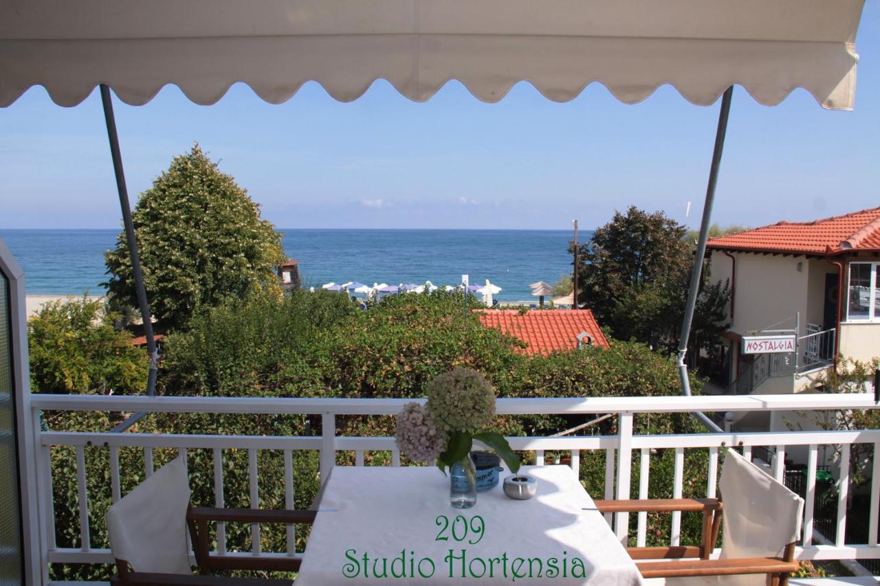 Fasoli Studios Paralia Panteleimonos Exterior foto